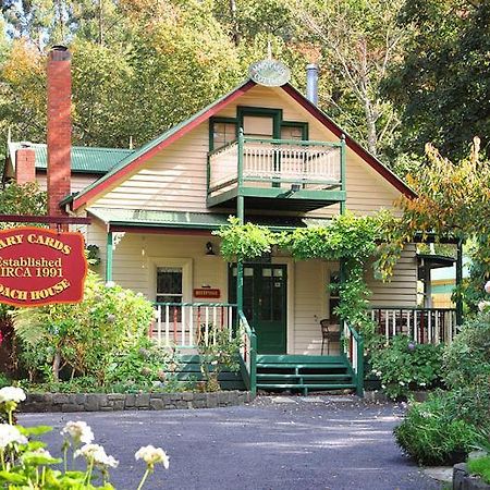 Bed and Breakfast Mary Cards Coach House à Olinda Extérieur photo