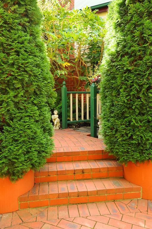 Bed and Breakfast Mary Cards Coach House à Olinda Chambre photo